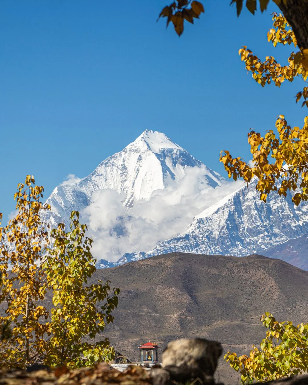 Dhaulagiri Base Camp Trek