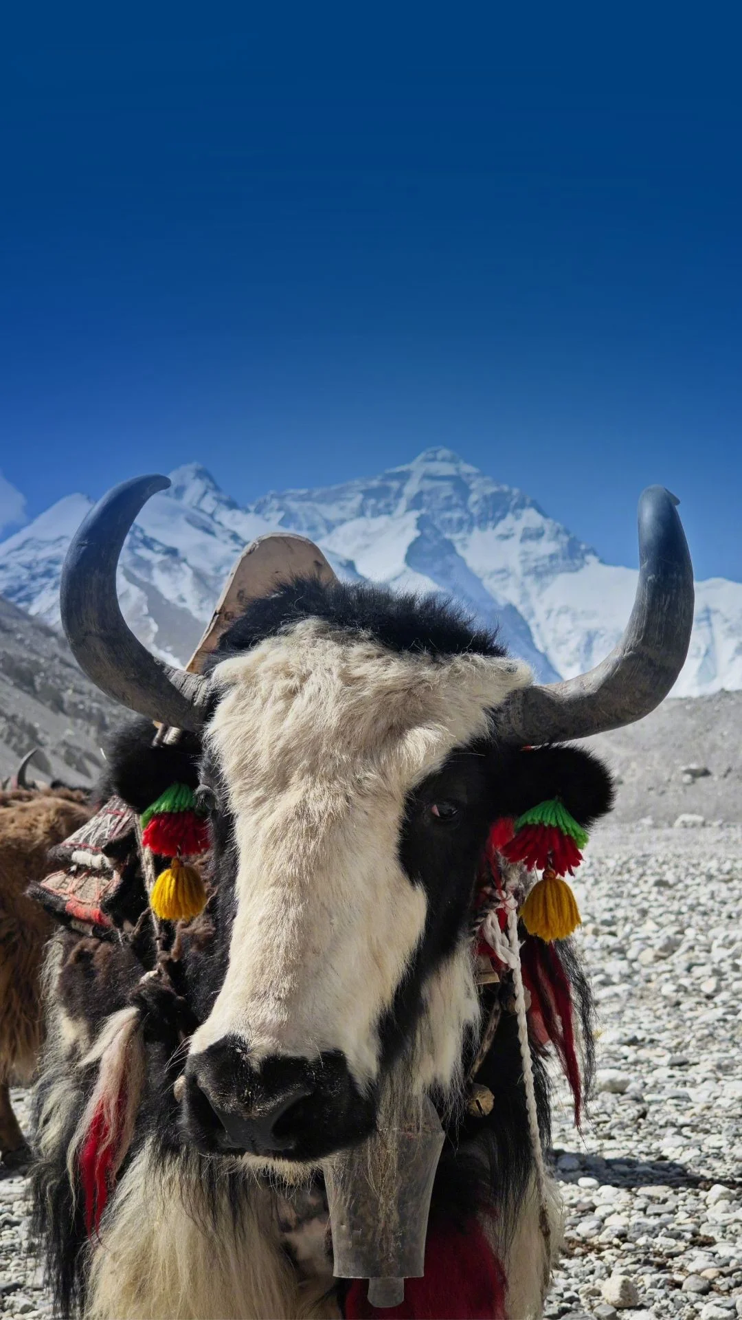 Everest Base Camp Trek For Seniors - 14 Days Image 3
