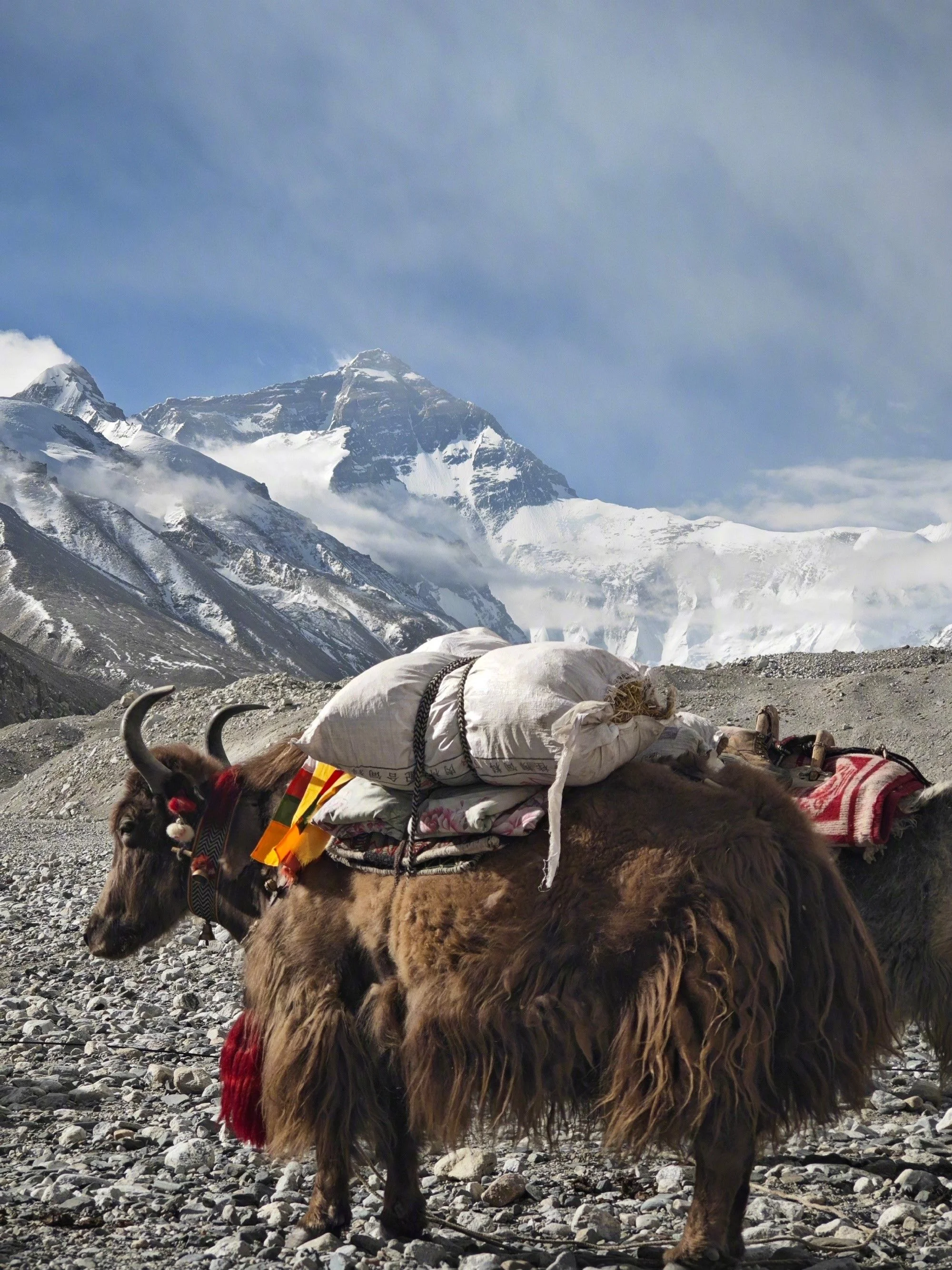 Everest Three High Pass trek - 21 Days