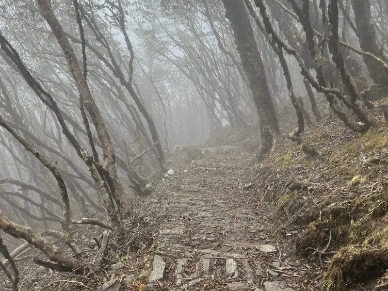 trail at pikey peak
